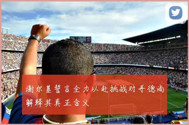 谢尔基誓言全力以赴挑战对手德尚解释其真正含义