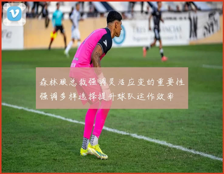 森林狼总裁强调灵活应变的重要性强调多样选择提升球队运作效率